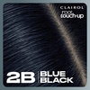 image:imageClairol Root Touch Up Permanent Hair Dye 10 Extra Light Blonde Pack of 12B Blue Black