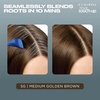 image:imageClairol Root Touch Up Permanent Hair Dye 10 Extra Light Blonde Pack of 15G Medium Golden Brown