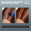 image:imageClairol Root Touch Up Permanent Hair Dye 10 Extra Light Blonde Pack of 15R Medium AuburnReddish Brown