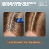 image:imageClairol Root Touch Up Permanent Hair Dye 10 Extra Light Blonde Pack of 165G Lightest Golden Brown