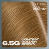 image:imageClairol Root Touch Up Permanent Hair Dye 10 Extra Light Blonde Pack of 165G Lightest Golden Brown