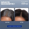 image:imageClairol Root Touch Up Permanent Hair Dye 10 Extra Light Blonde Pack of 16G Light Golden Brown