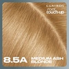image:imageClairol Root Touch Up Permanent Hair Dye 10 Extra Light Blonde Pack of 185A Medium Champagne Blonde