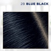 image:imageClairol Root Touch Up Permanent Hair Dye 9A Light Ash Blonde Pack of 12B Blue Black